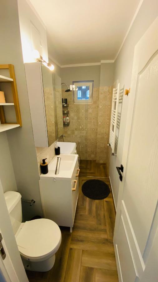 Dacia Apartment Timişoara Extérieur photo